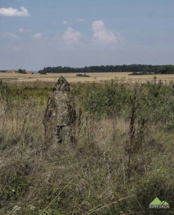 Basecap ConCamo 13 Basecap ConCamo -Outdoor Ausrüstung Verkaufs-Shop leo koehler basecap concamo 90487 7