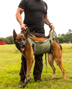 D LIFT Dog Stretcher W/ Carrier Olive Drab -Outdoor Ausrüstung Verkaufs-Shop matbock d lift dog stretcher w carrier olive drab mb dlift od 3