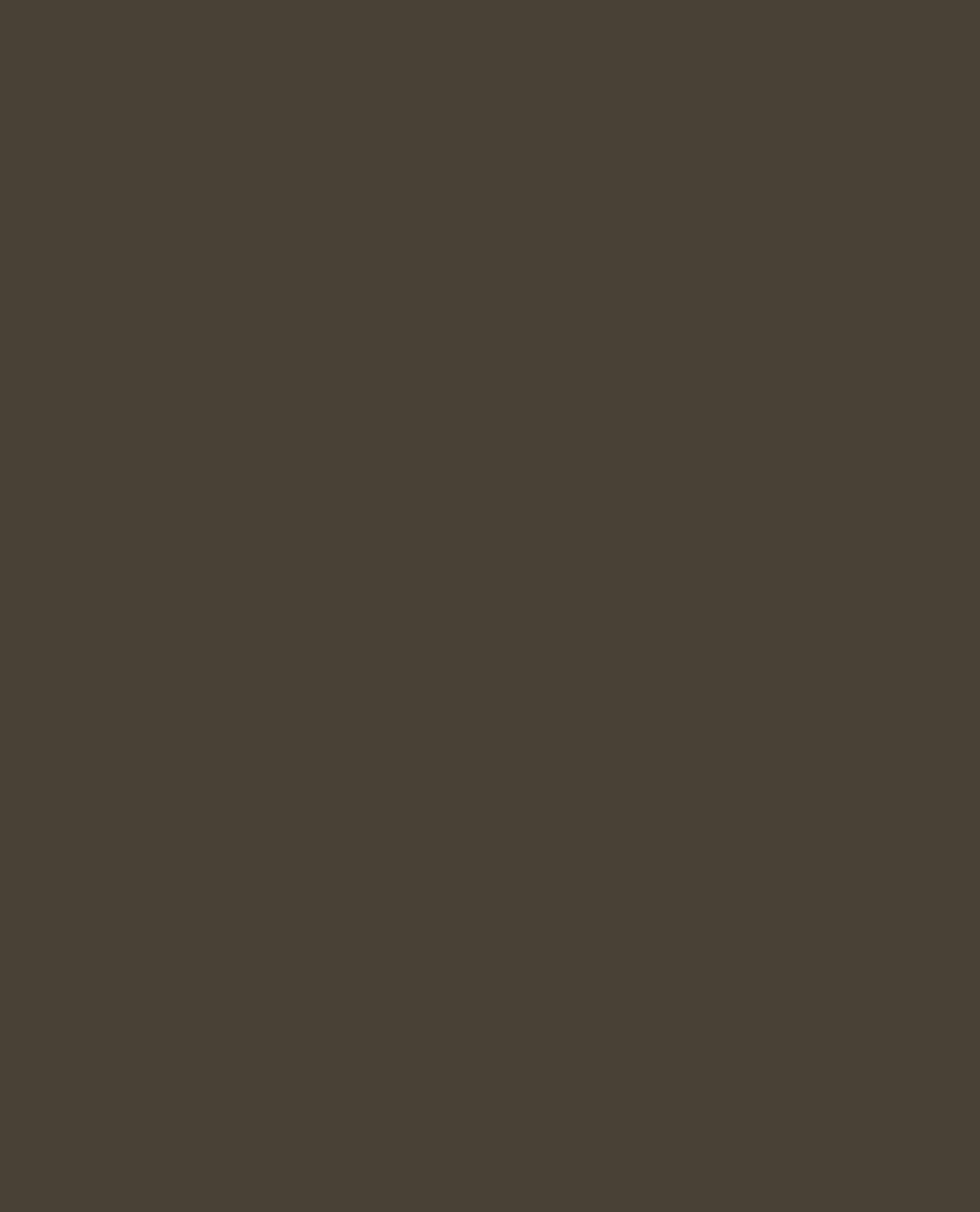 Tarnfarbe EC Paint Mud Brown 4 Tarnfarbe EC Paint Mud Brown – Bild 4